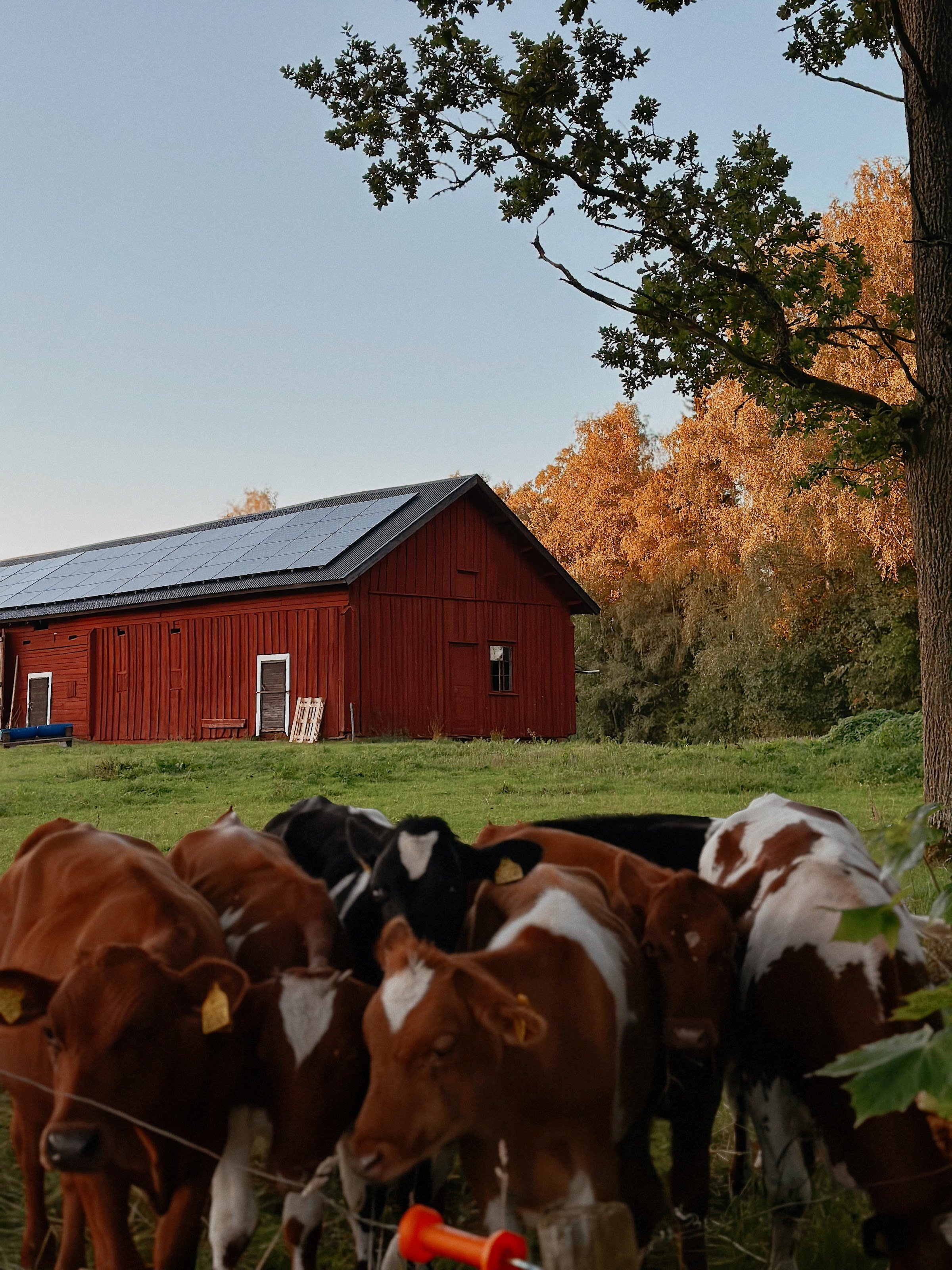 Grimstorp Hagen (Grimstorps Gård)